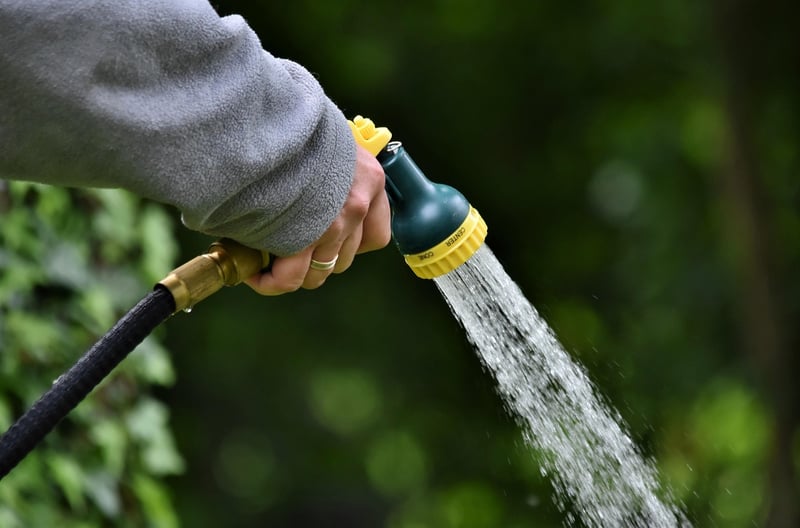 Crystal watering cans